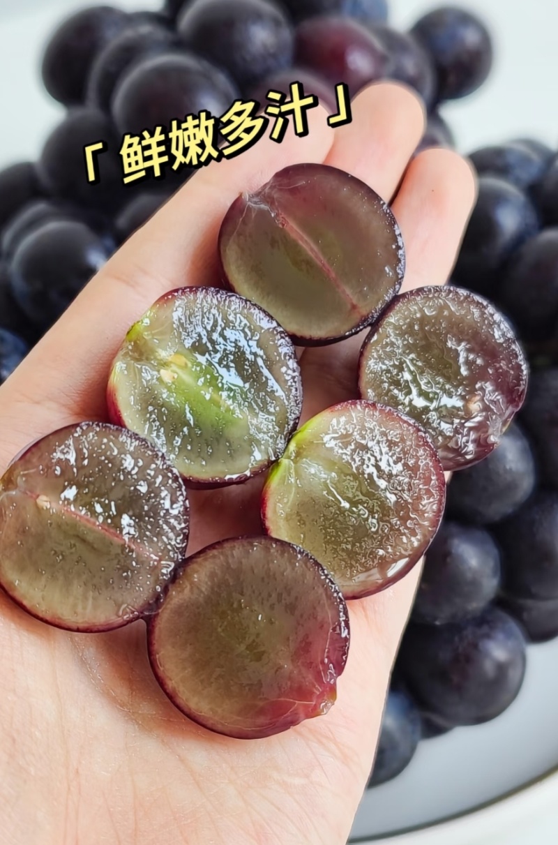 夏黑葡萄陕西葡萄，视频看货价格可谈，对接电商市场批发商