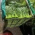 空心菜#药食同源类保健特菜