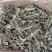 车前草车前草干货野生紫背车前草2025新货产地直发