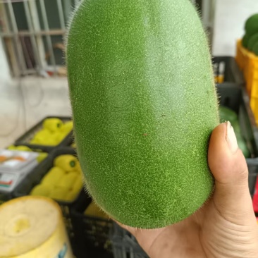 精品水果冬瓜