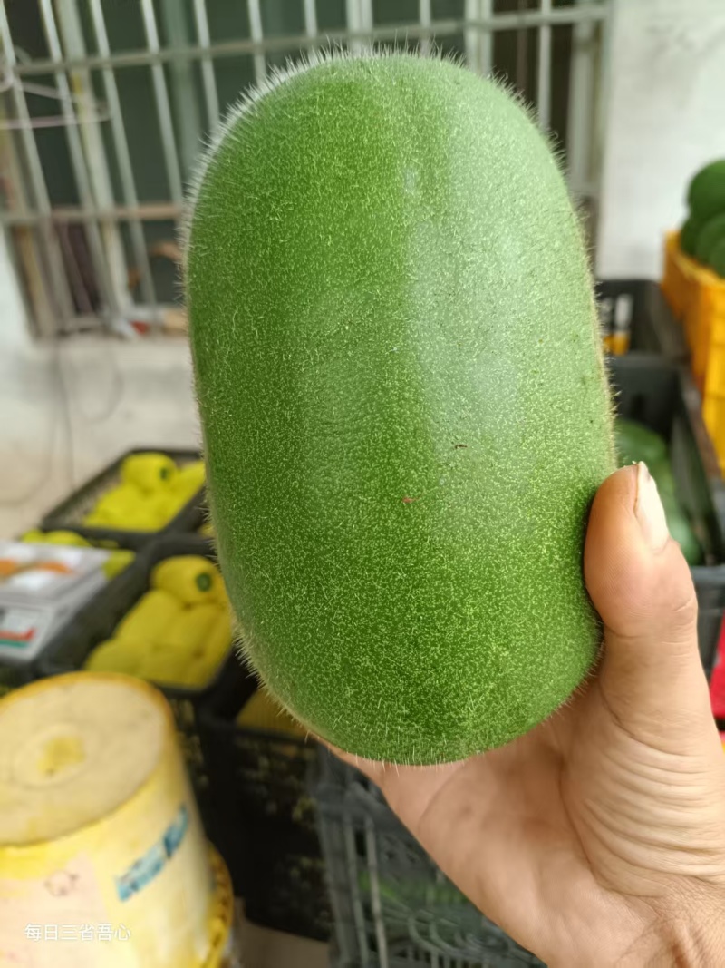 精品水果冬瓜