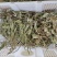 车前草车前草干货野生紫背车前草2025新货产地直发