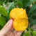 黄金蟠桃鲜嫩多汁自家果园种植量大便宜有需要联系