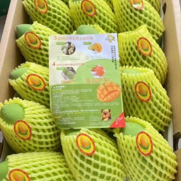 芒果