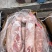 产品名：龙大三号肉规格：25kg猪源：国产日期：25，