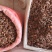 八角大料药食两用一斤起包邮量大从优欢迎选购