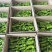 鲜辣椒\大邹皮芜湖椒\陕西榆林定边县芜湖椒\大量上市