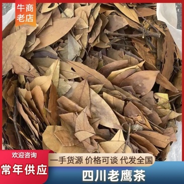 【精选】四川老鹰茶野生保健品茶叶保健茶常年供应