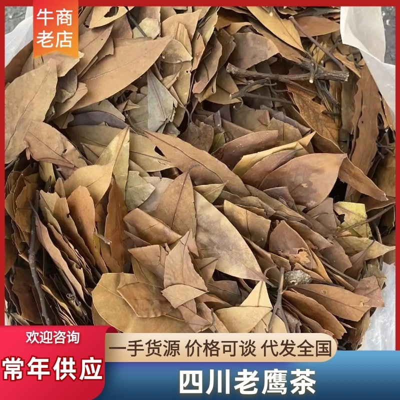 【推荐】四川老鹰茶供应保健茶茶叶火锅店专用