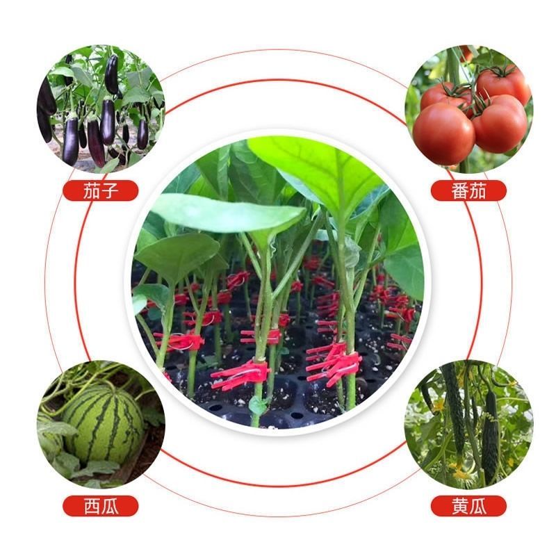 嫁接夹子西瓜茄子黄瓜蟹爪兰嫁接专用嫁接夹子平口圆口蔬菜