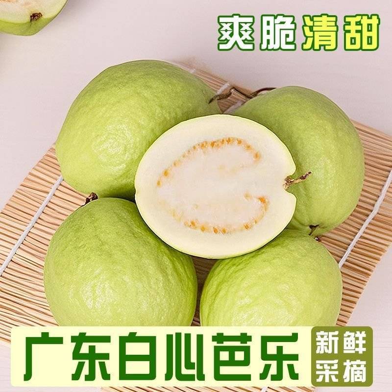 番石榴红心，白心，产地直发，质量保证，新鲜采摘。
