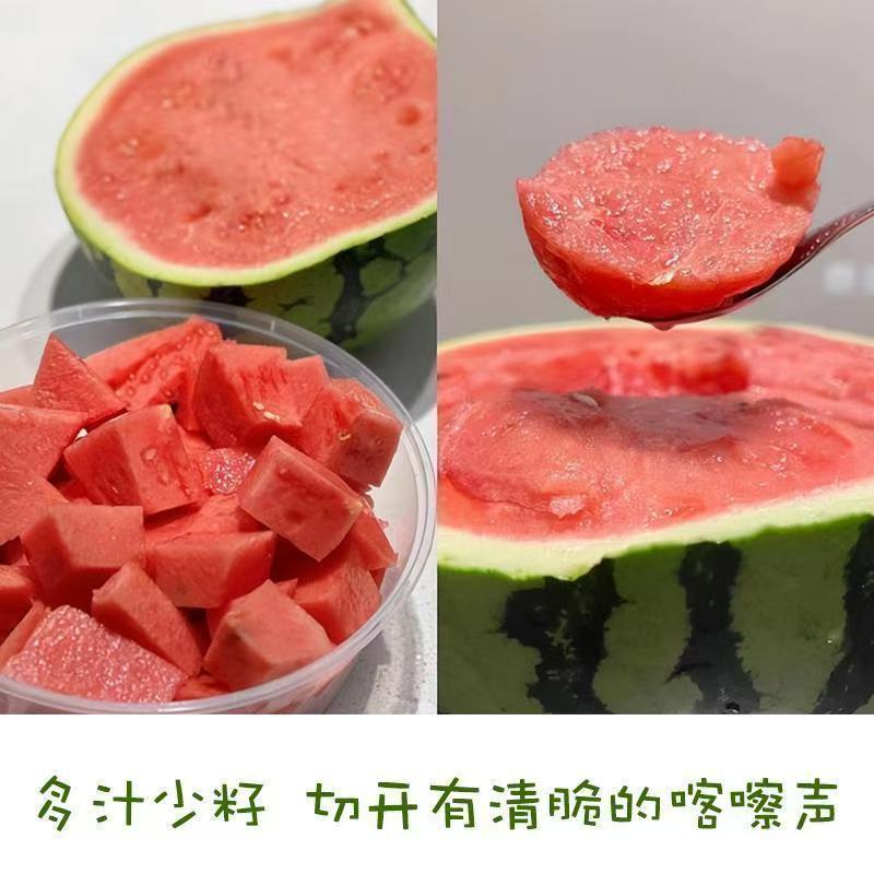 山西运城夏宝西瓜，夏乐西瓜，新鲜采摘，农家自种