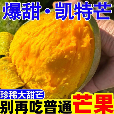 攀枝花凯特芒大量上市支持电商一件代发整车走货
