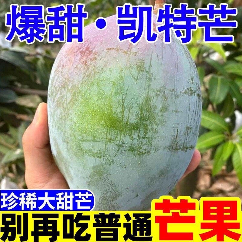 攀枝花凯特芒大量上市支持电商一件代发整车走货