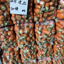 萧县胡萝卜食堂货