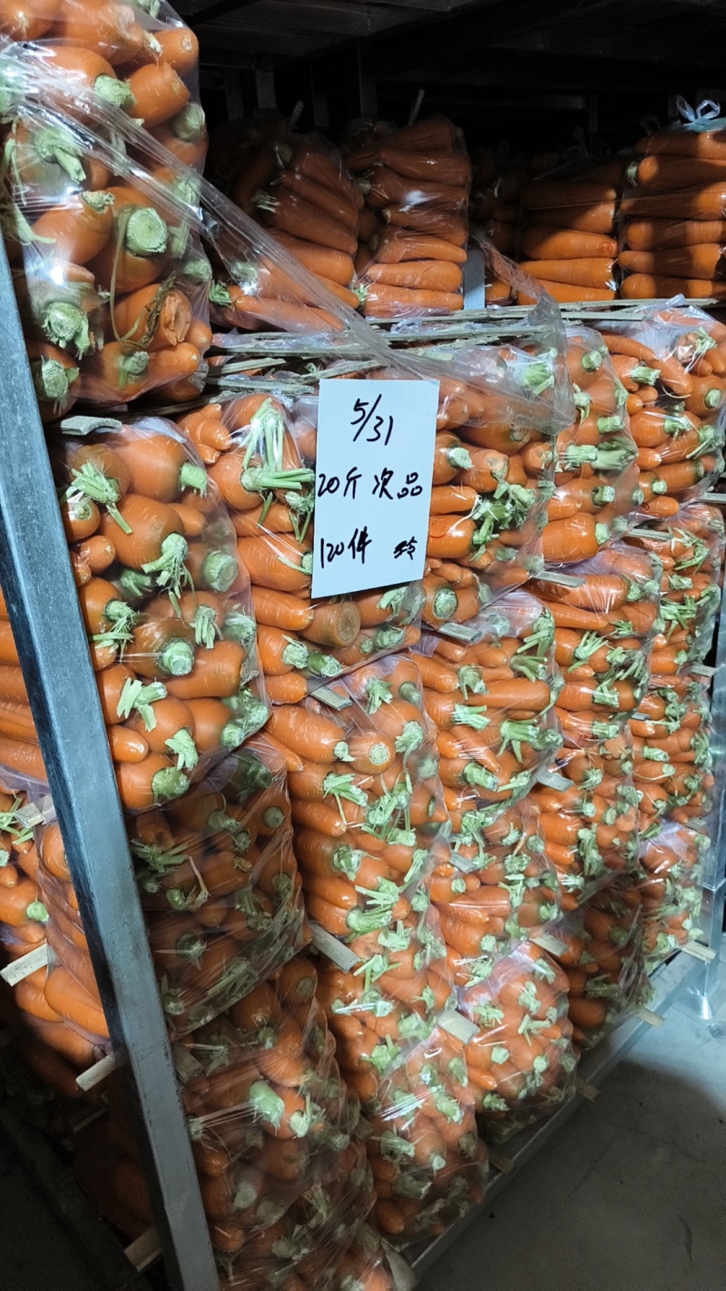 萧县胡萝卜食堂货