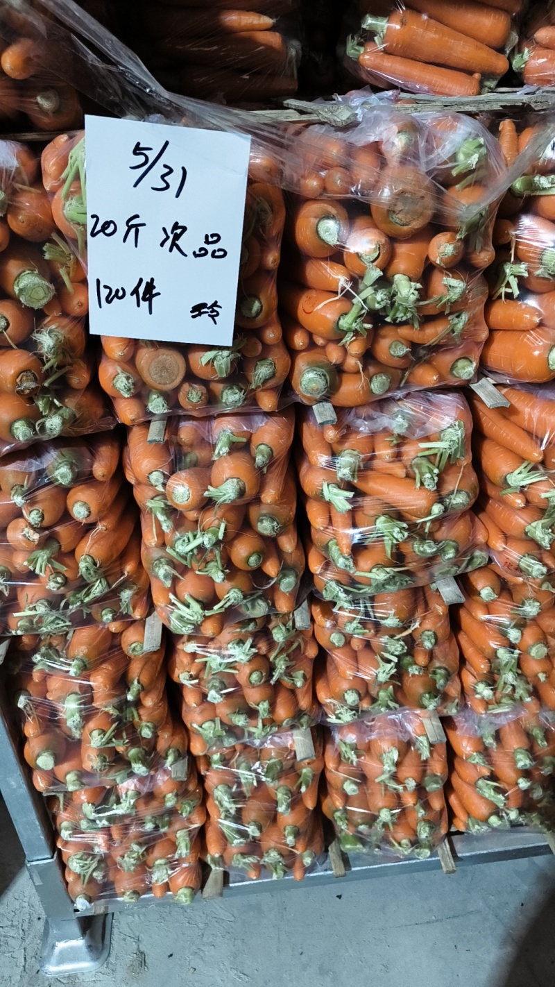 萧县胡萝卜食堂货