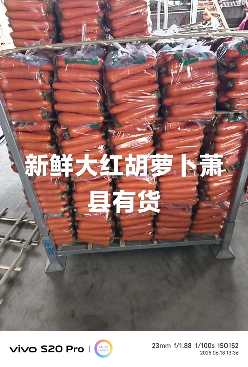 胡萝卜中条小条，次品都有，包装四到四十斤价格美丽