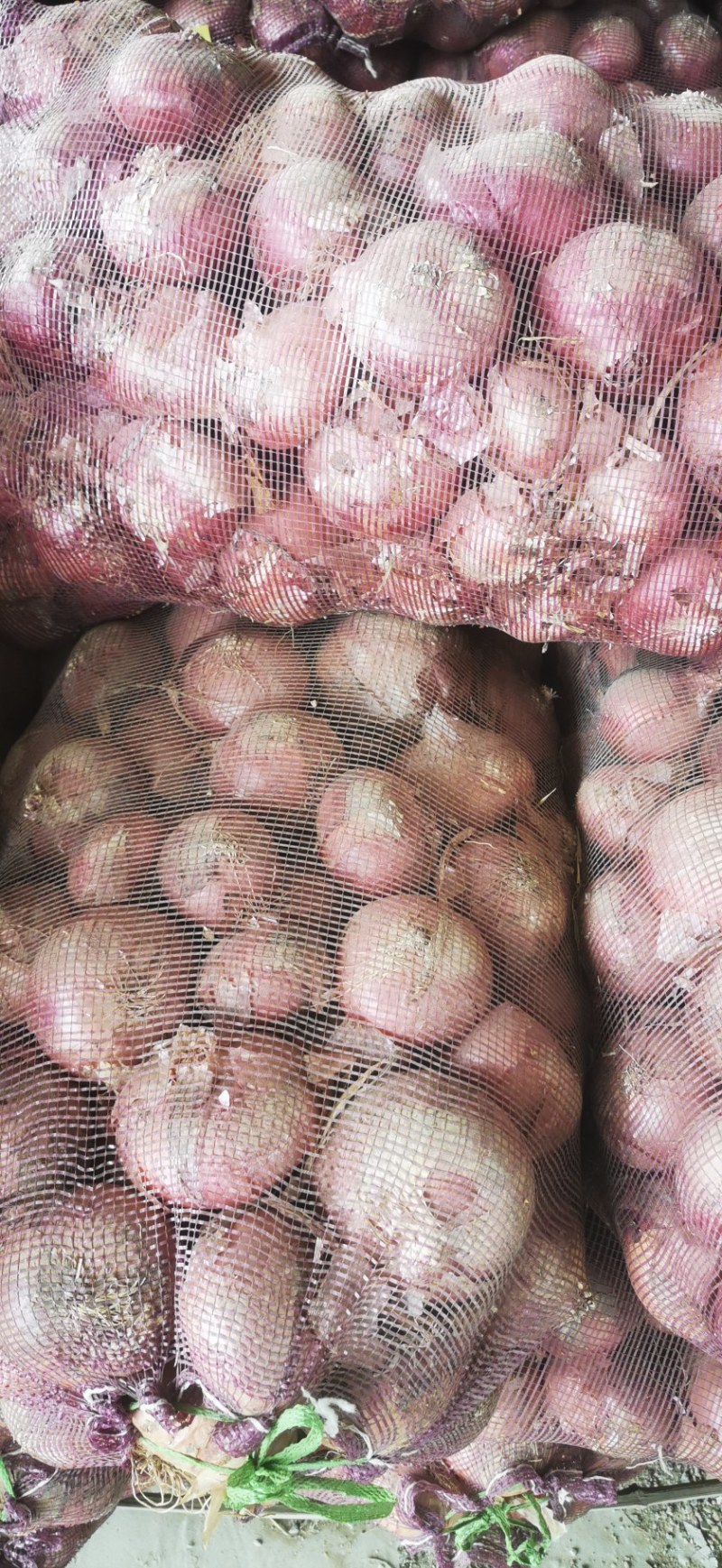 聊城二红洋葱，需要的老板联系了河南省新乡市原阳县齐街镇，