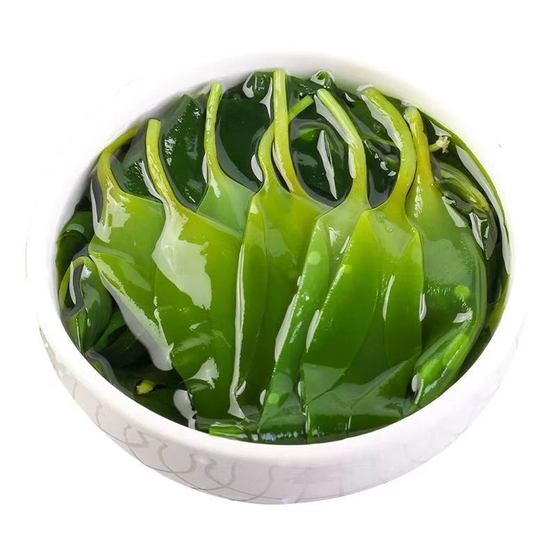 海带苗霞浦海带苗嫩苗新鲜火锅凉拌食材海带商用包批发少盐
