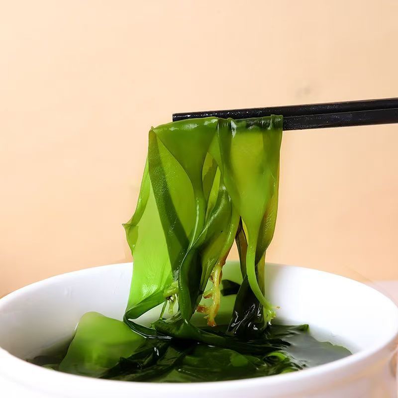 海带苗霞浦海带苗嫩苗新鲜火锅凉拌食材海带商用包批发少盐