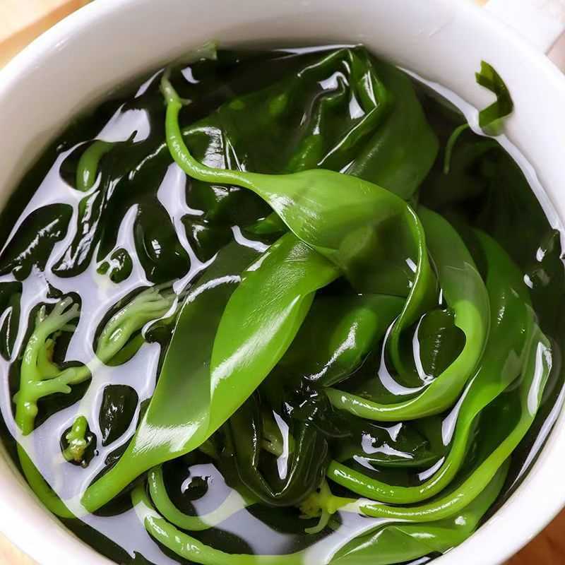 海带苗霞浦海带苗嫩苗新鲜火锅凉拌食材海带商用包批发少盐