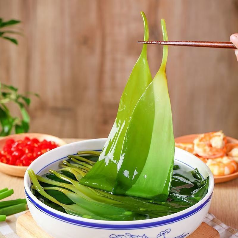 海带苗霞浦海带苗嫩苗新鲜火锅凉拌食材海带商用包批发少盐