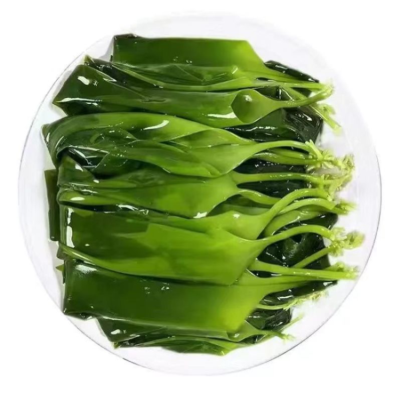 海带苗霞浦海带苗嫩苗新鲜火锅凉拌食材海带商用包批发少盐