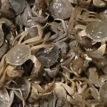 山东黄河水产大闸蟹支持电商，自助餐超市各大商场欢迎老板选