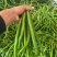 【推荐】精品线椒/基地直发/对接商超批发市场/欢迎咨询