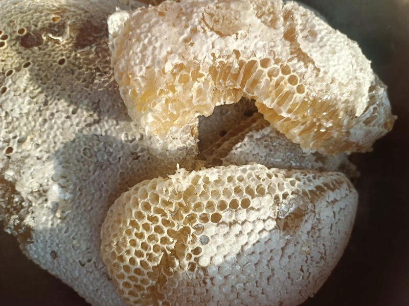 云南土蜂蜜农户散养木桶蜂蜜纯手工制作，寻找有实力的采购商