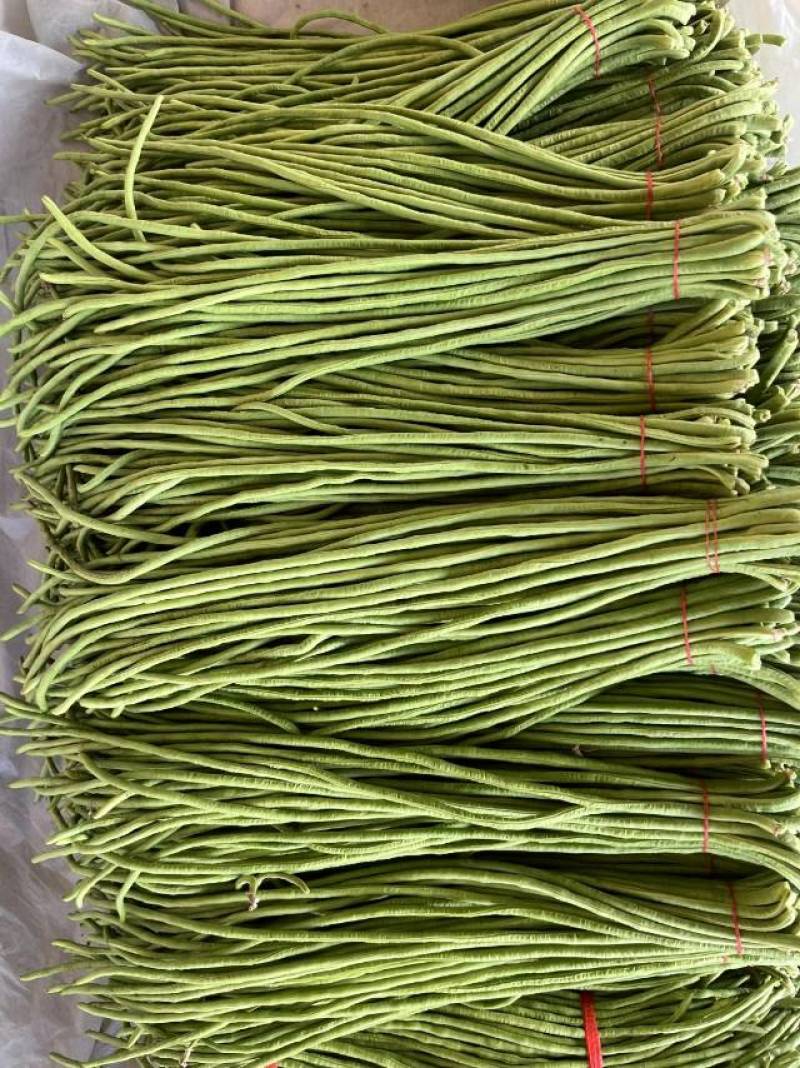 青条豆角