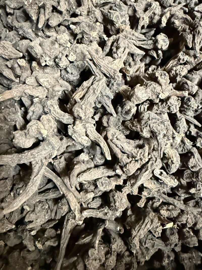 八角莲一碗水货源充足即见即所得批发零售包邮