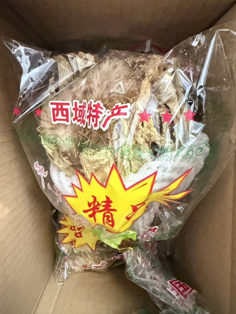 八角莲一碗水货源充足即见即所得批发零售包邮