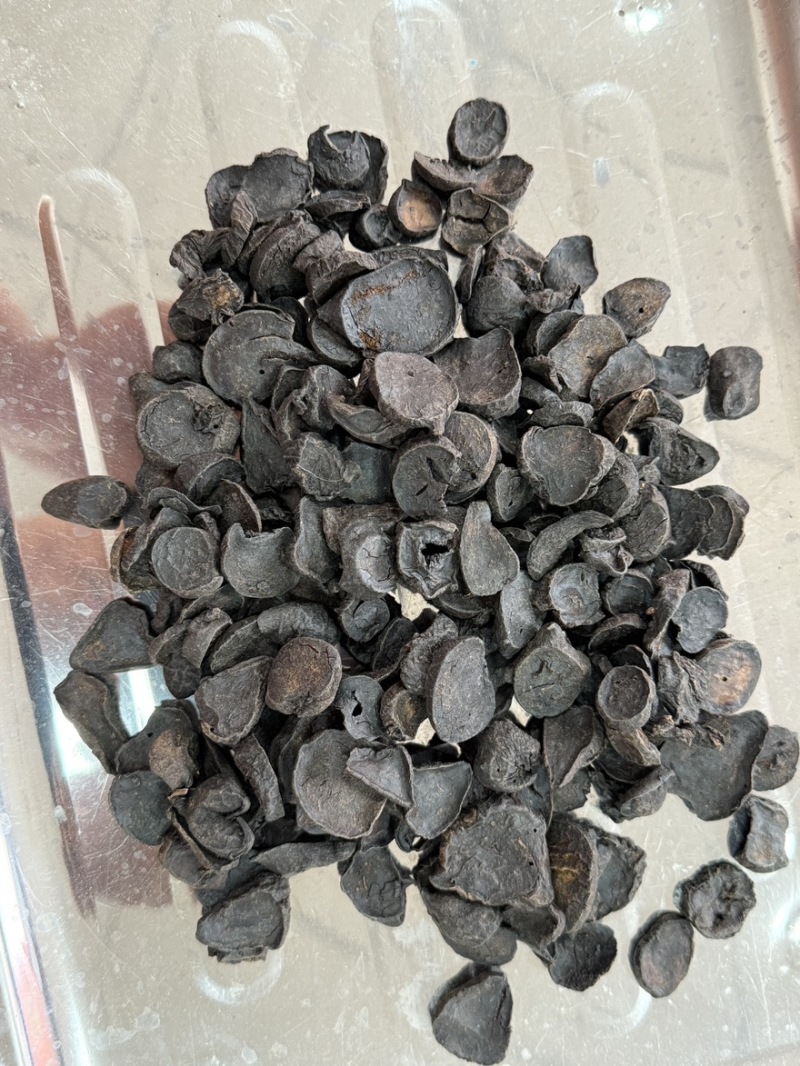 八角莲一碗水货源充足即见即所得批发零售包邮