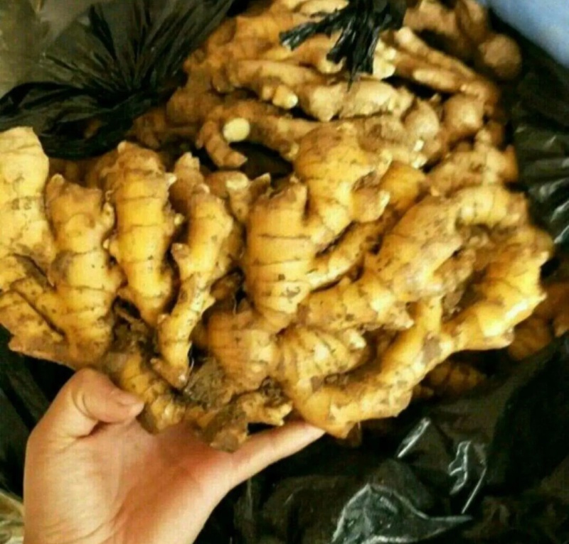 陕西生姜【商家承诺/坏烂包赔】【沙土姜/水洗姜/风干姜】