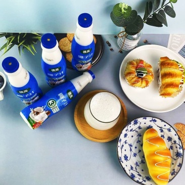 樵元椰子汁饮品330ML*24瓶膜装小瓶装植物蛋白椰汁饮料厂