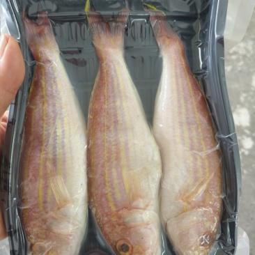 深海金鲳鱼（真空包装）