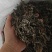 艾草小叶艾全棵切段