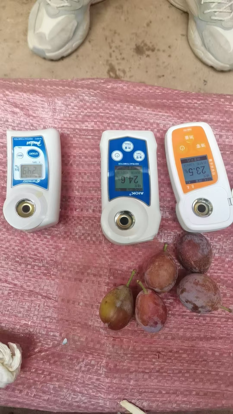 精品西梅法兰西梅货源充足量大从优产地供应质量保证