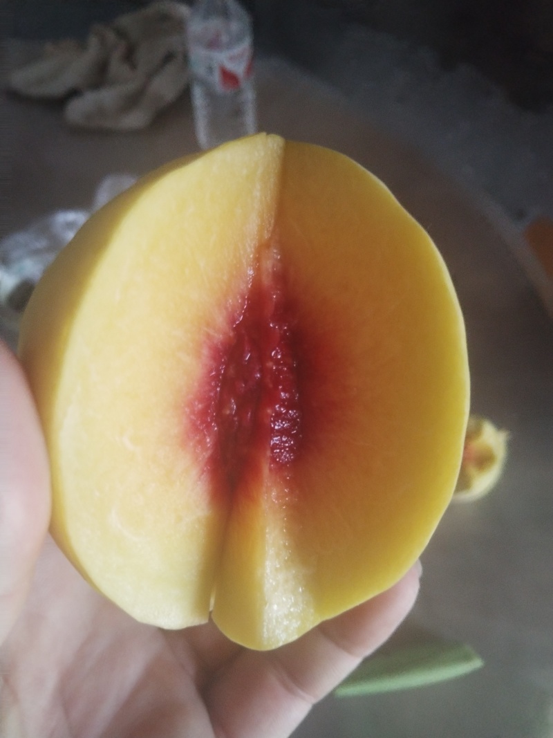 炎陵黄桃