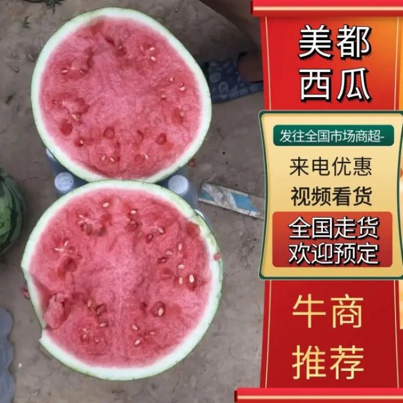 美都西瓜