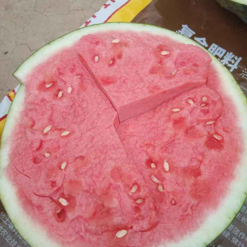 美都西瓜