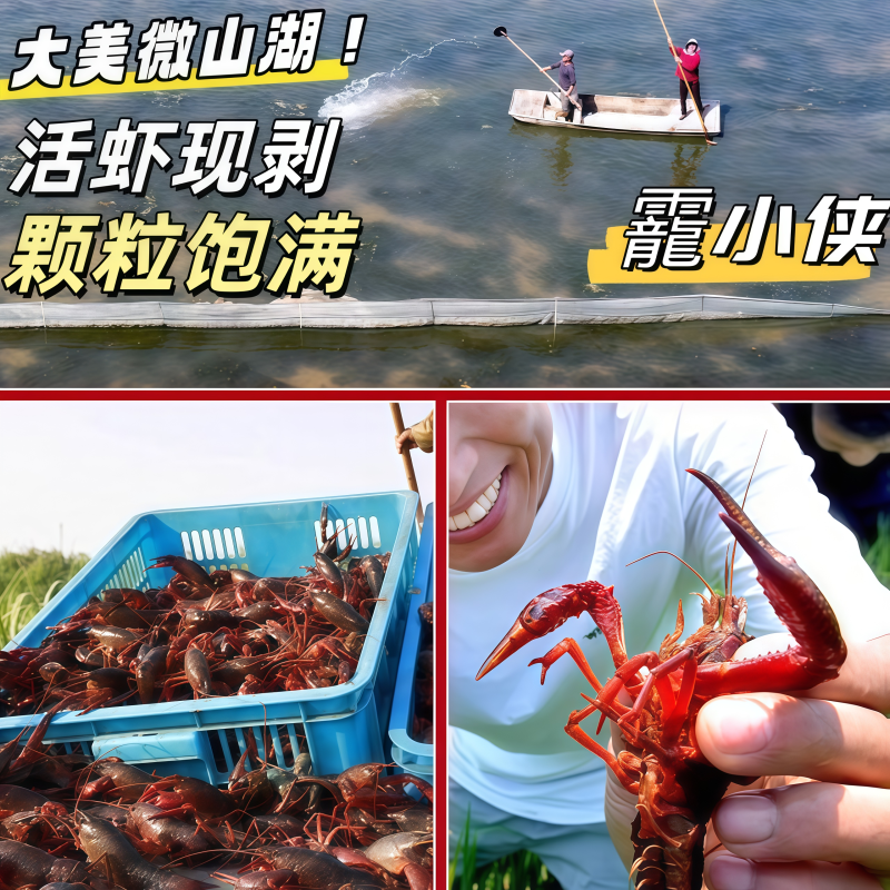 源头厂家直供带黄小龙虾仁