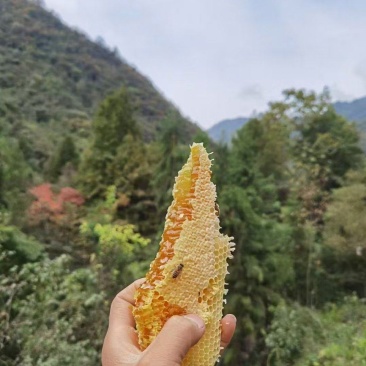 蜂蜜