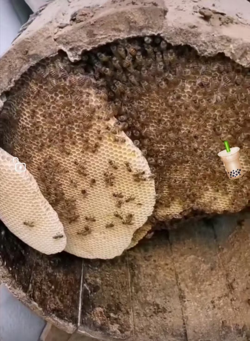 蜂蜜