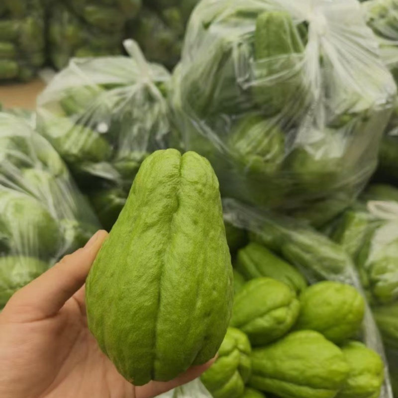 云南精品佛手瓜大量上市产地装车量大从优诚信经营