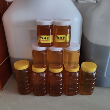 江西大山野蜂蜜，山清水秀，采天地精华，酿成熟好蜜，贵族精品！