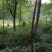 江西大山野蜂蜜，山清水秀，采天地精华，酿成熟好蜜，贵族精品！