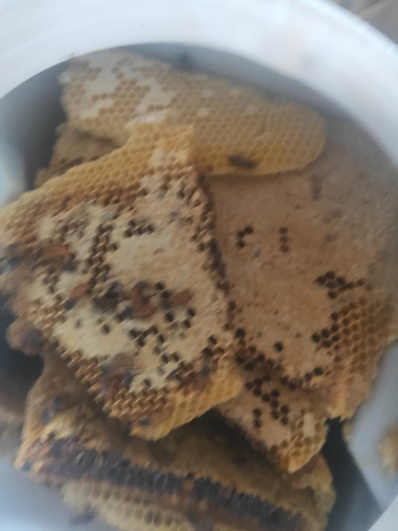 野蜂蜜
